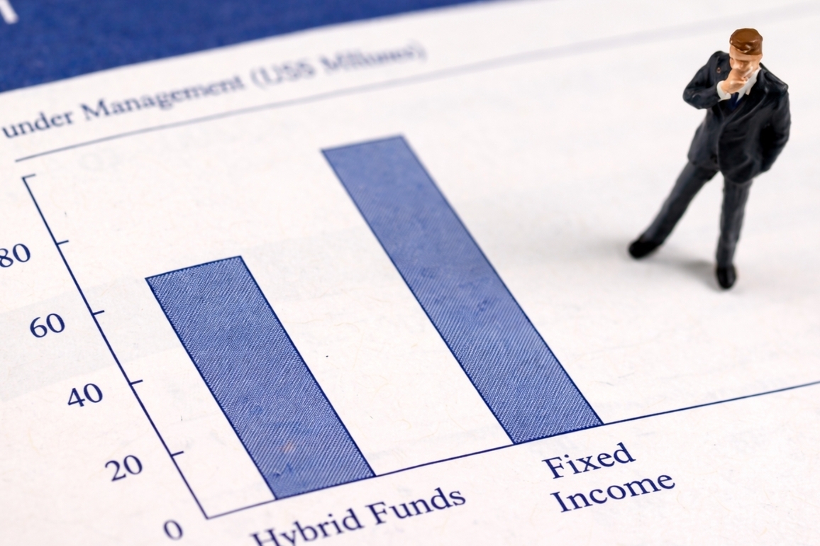 Fixed-Income Funds vs Fybrid Funds: Allocation Differences