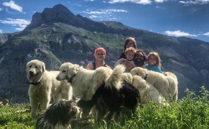 Ag in my Land: Traditional way of life unique to Swiss sheep farm