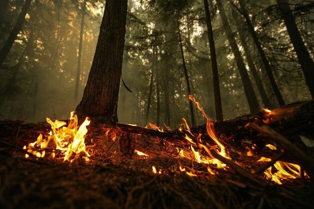 Are freeloading premiers undermining Canada&#039;s climate strategy?