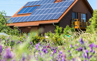 'Sustainability is a growth opportunity': Landlords say tenants willing to pay more for green features