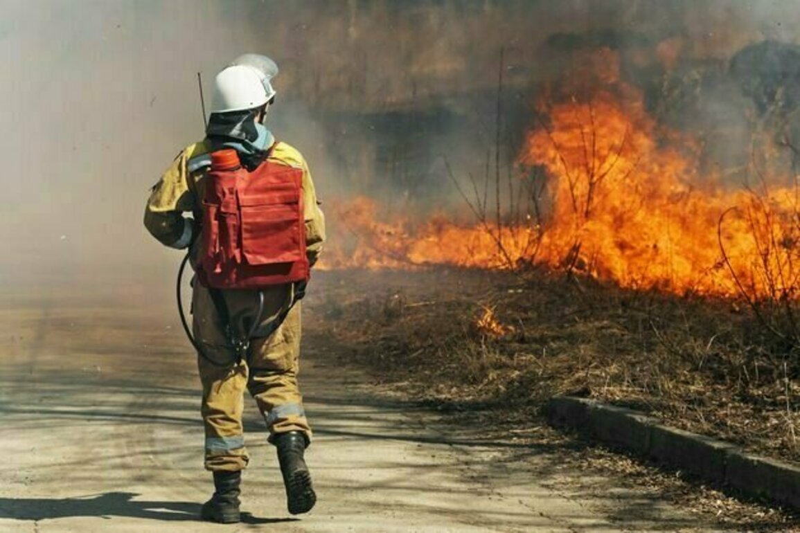 'I was in a semi-breaking-down sort of place': new study sheds light on the emotional toll for emergency volunteers