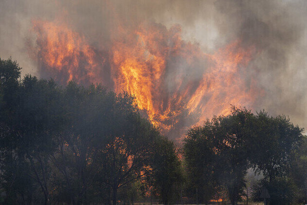 Wildfires force mass evacuations in France and Spain 