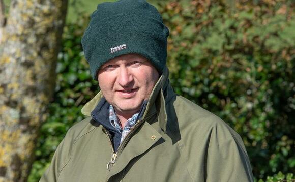 In your field: Mike Harris - 'One of our bulls has swapped Dorset for Cornwall and Tintagel'