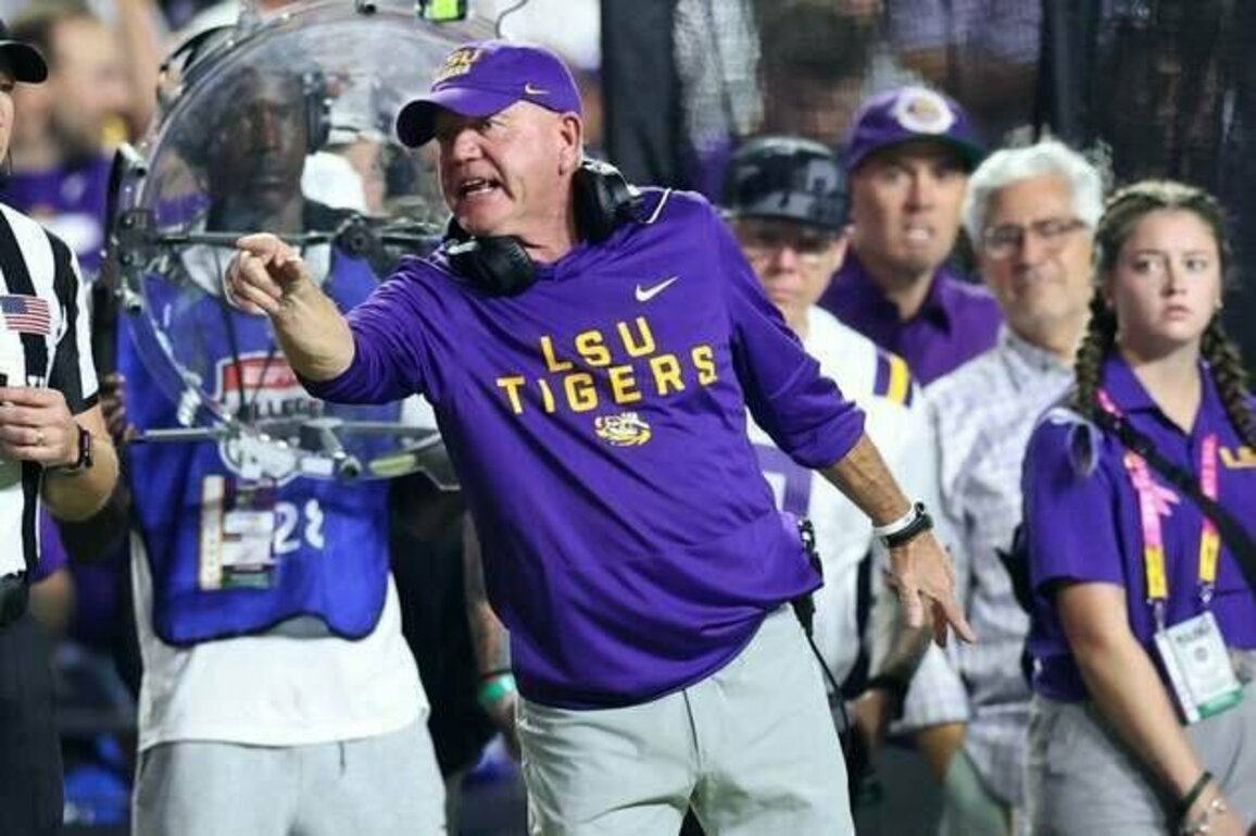LSU fires Brian Kelly after not reaching success level 'that LSU demands'