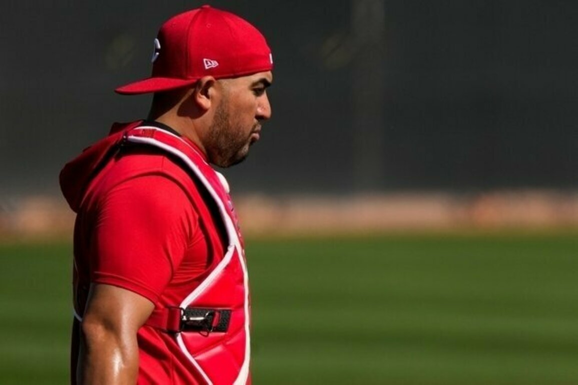 Reds agree to three-year extension with C Jose Trevino