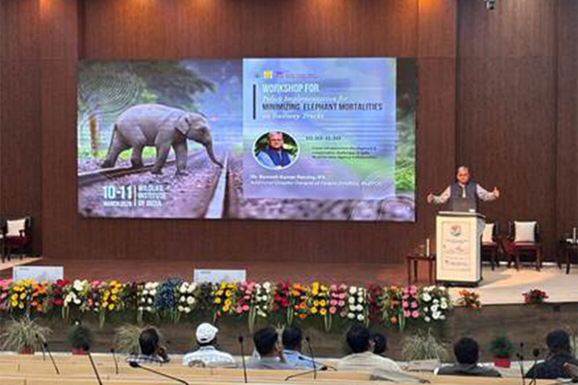 Environment Ministry organizes 2-day workshop to address challenge of elephant-train collisions