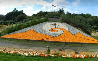 Farm recreates The Nightmare Before Christmas film poster out of pumpkins