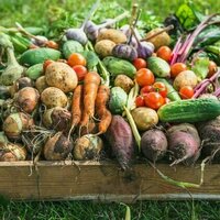 Community-run food co-ops can reduce food insecurity and boost healthy diets, research shows