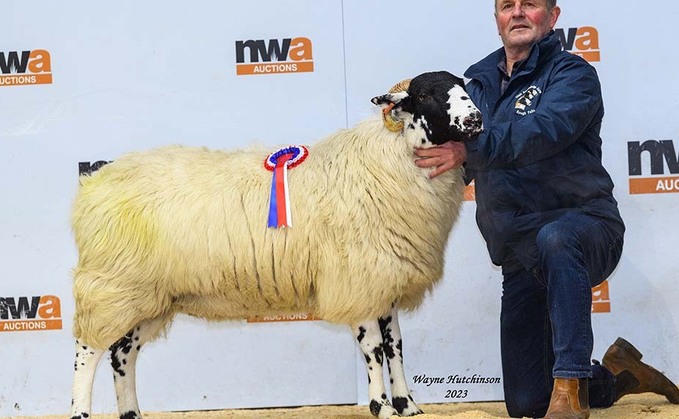 Rough Fell in-lamb record smashed at J36