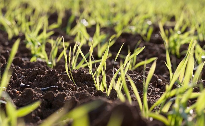 Top tips for spring barley agronomy