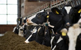 Taking The Guesswork Out  Of Herd Management