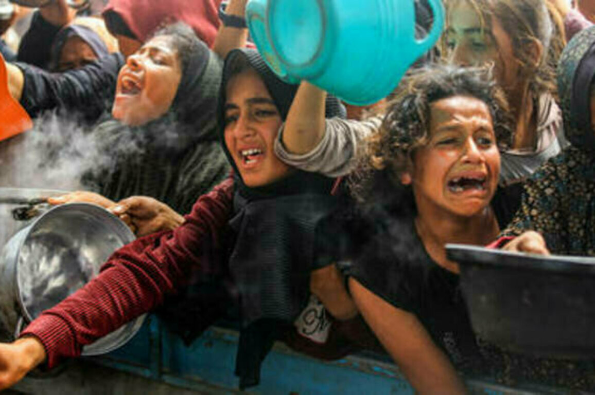 Aid as ambush: The horrifying new face of Israel's Gaza war