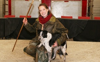 Emma Gray's farming life: "Scottish National Sheepdog trials is around the corner...Rumours are it is to be held on Scots blackies - my nemesis"