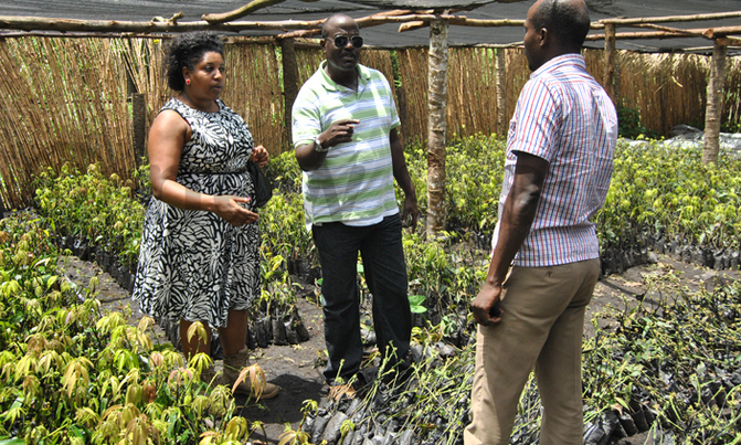 Museveni commissions team to investigate OWC impact Museveni commissions team to investigate OWC impact