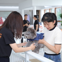 Paw-some degree: China initiates pet-centric bachelor's program for surging demand