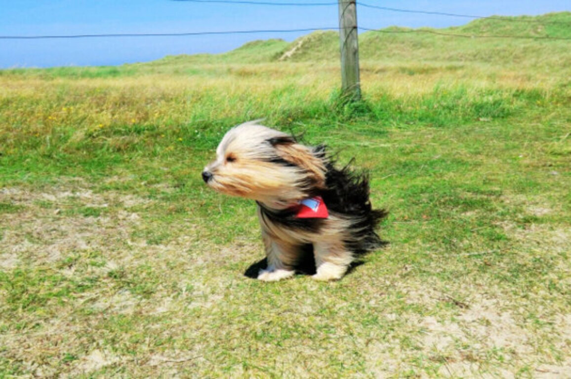 Sunny but Windy: Friday Forecast Brings Up to 21C Across Bulgaria