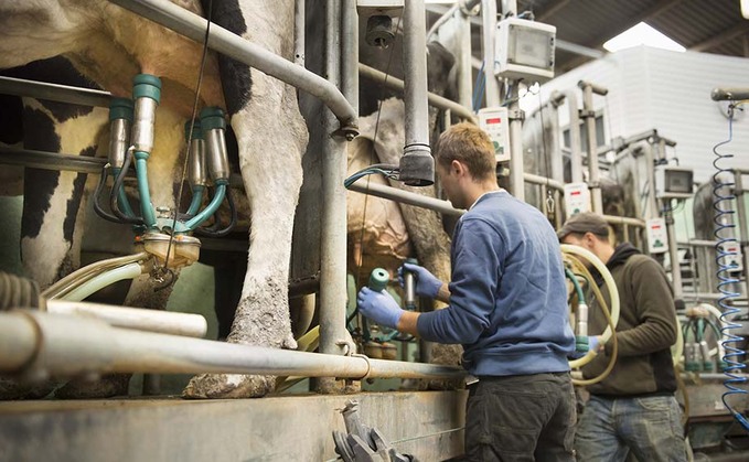 Dairy prices just hitting 'break even' despite January rises