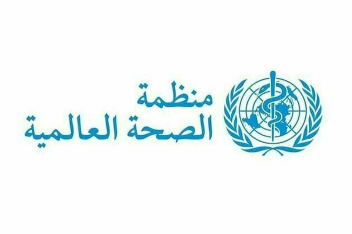 Gaza health sector losses near $6.3 billion, WHO reports