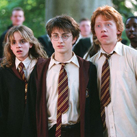 Original 'Harry Potter' director Chris Columbus says cast reunion "impossible"