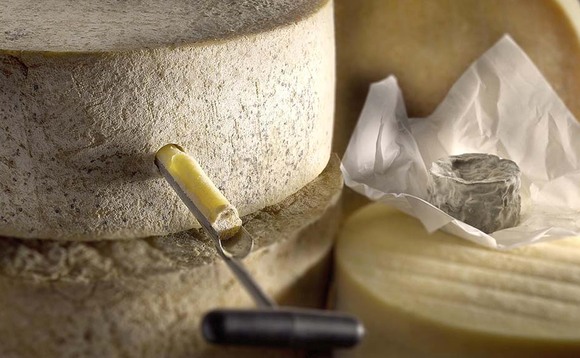 North America a strong market for British cheese