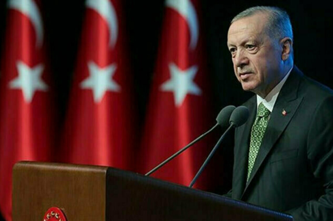 Erdogan: Turkey on constant alert to protect forests from fires