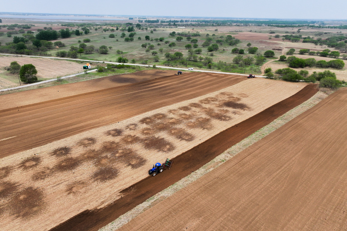 CHINA-INNER MONGOLIA-TONGLIAO-CORN-SPRING SOWING (CN)