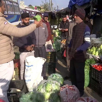 J-K: Sunderbani undergoes organic agricultural transformation