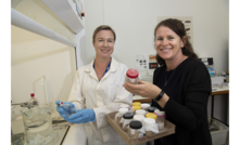 DPIRD technical officer Hannah Hughes (left) and project officer Elisha Cassidy are ready to assess grain samples for phosphine resistance as part of a national surveillance program. Picture courtesy DPIRD.