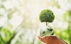 Australia climate investor Wollemi Capital raises $147m