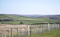 Defra's Capital Grants scheme now closed
