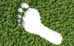 Investors demand more information on carbon footprint of funds