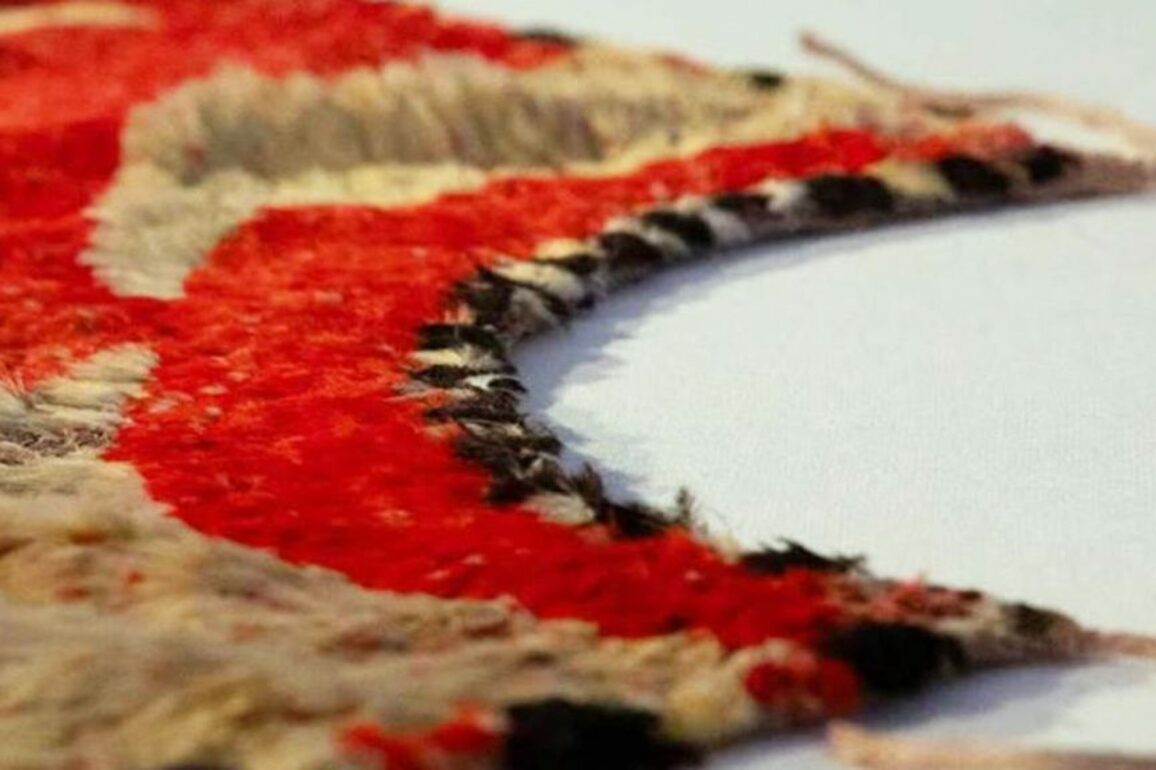 Feathered cape worn by Warrior Chief Kekuaokalani returns to Hawaii