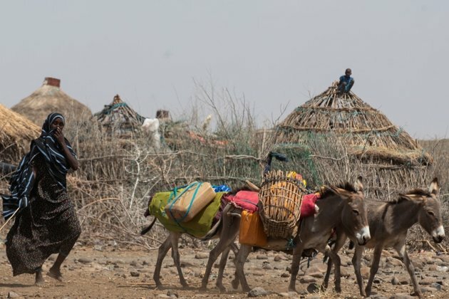Growing Health Crisis Seen in Horn of Africa as Acute Hunger Spreads