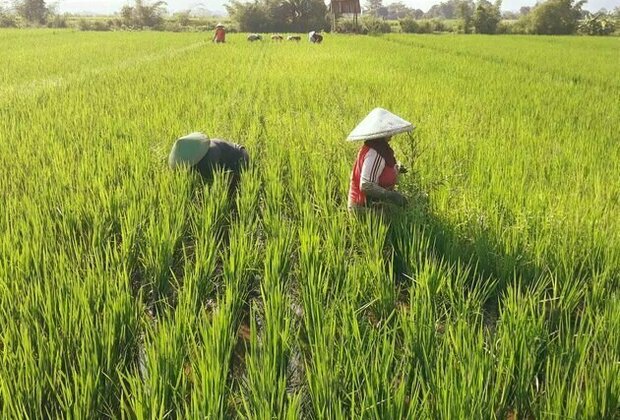 Tidak perlu latah negara lain, Indonesia bisa unggul jika fokus pada riset tumbuhan