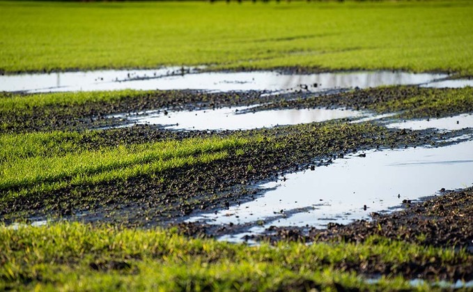 What an ever-evolving climate means for crop production