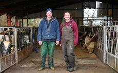 Why has a flying dairy herd in Wales moved to breeding its own replacements?