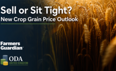 Watch our latest webinar: Sell or sit tight? New crop grain price outlook