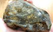 Polished gossanous quartz vein with abundant visible gold sampled from the Brians pit