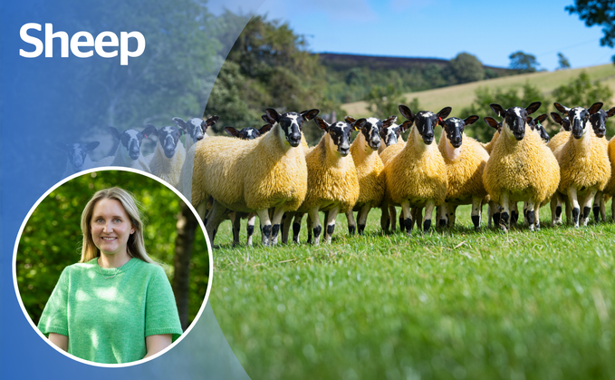 OPINION: I feel 'silly season' may be about to begin 