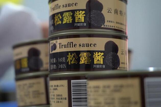 Yunnan truffle becomes globally-prized "Chinese specialty"