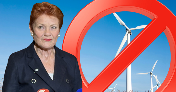 Pauline Hanson scrapping 'net zero rubbish'