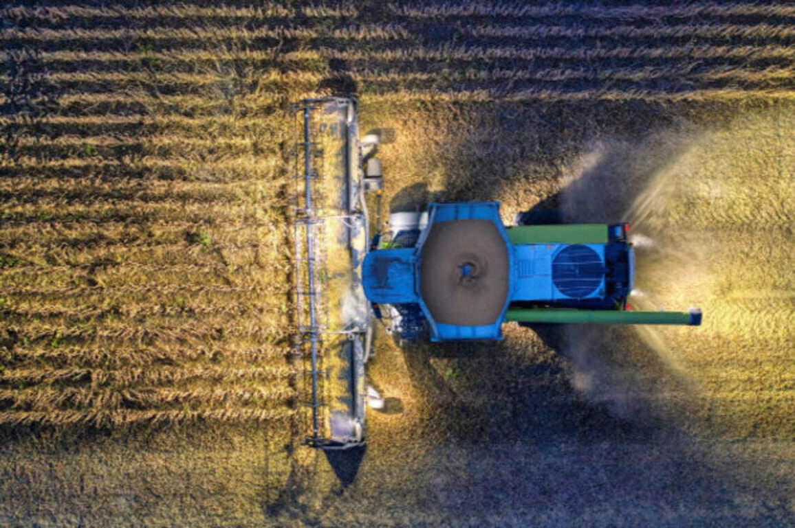 Bulgarian Farm Output Rises Amid Falling EU Prices in Late 2025
