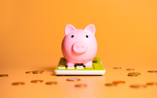 Young disabled people face £245,000 pension gap