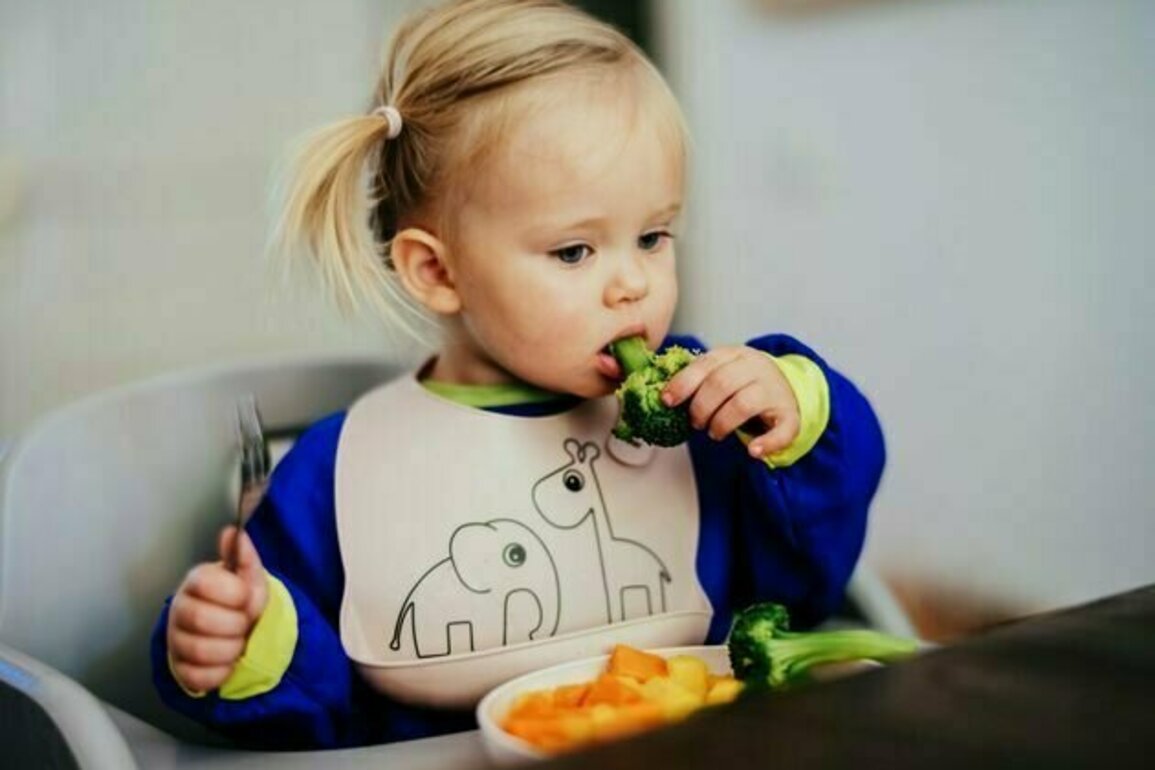 New research finds many infant food products make claims that don't match the main ingredients