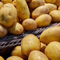 Potato futures are soaring  should the world be worried