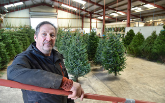  Growing Christmas trees is a key element to West Yorkshire arable farm