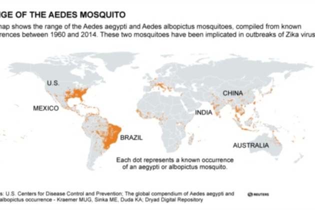 Zika Virus Found in Pregnant Spanish Woman