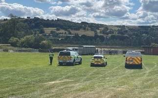 Farmer's stolen cattle mostly recovered following arrest