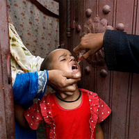 Poliovirus detected in sewage samples of 18 districts of Pakistan