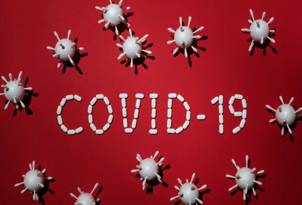 Researchers develop computer model to show ways to curb COVID-19 spread